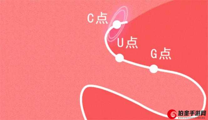 新手自 W 到高 C 教程视频详细解析