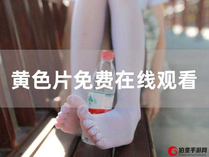 在线免费观看黄色网：畅享精彩内容